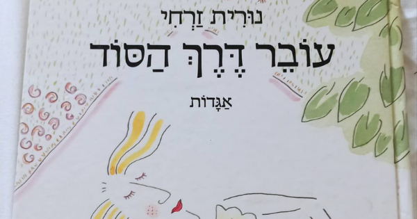 עובר דרך הסוד נורית זרחי
